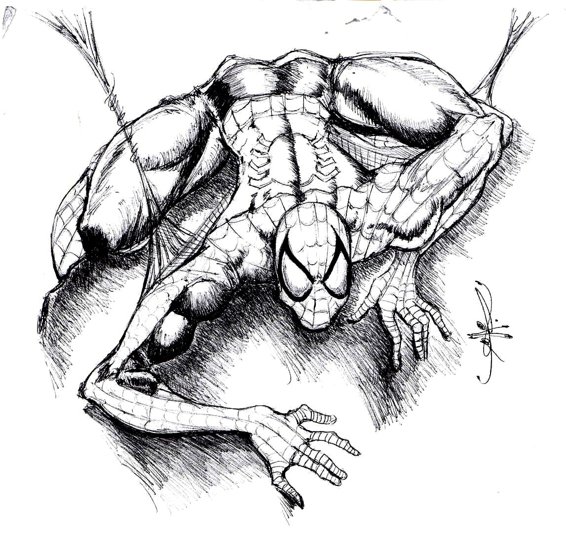 spiderman1.jpg